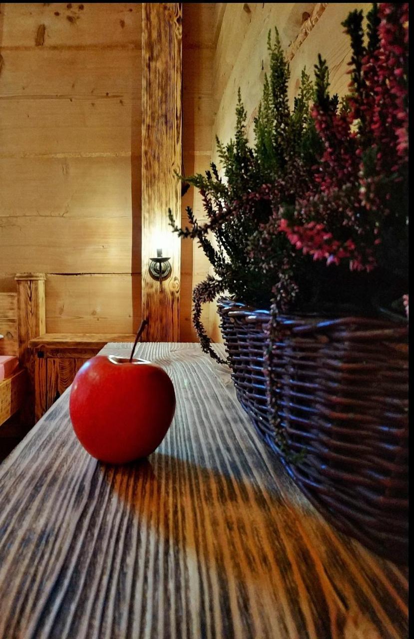 Bukowianska Ostoja - Sauna, Jacuzzi I Balia W Ofercie Bukowina Tatrzańska Kültér fotó